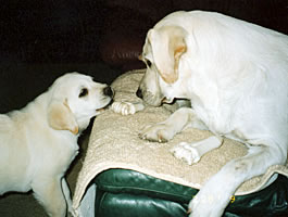 winney and bridget